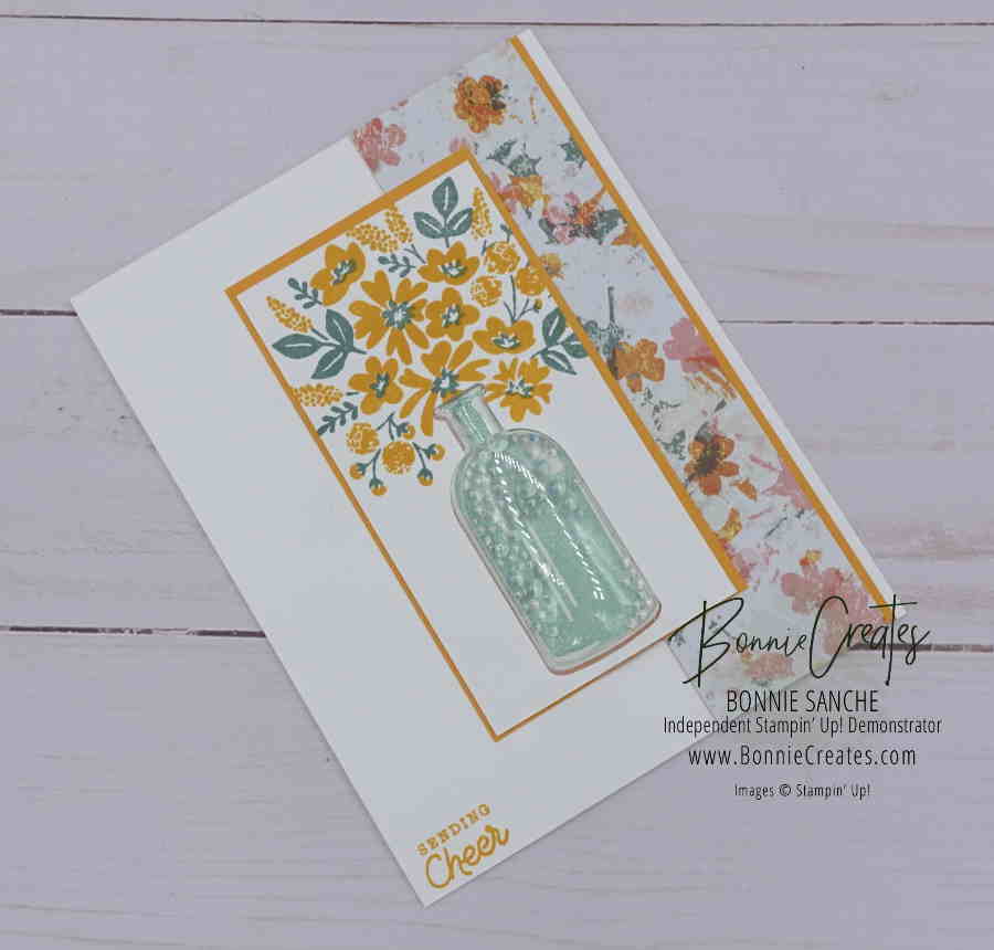 Bottled Happiness Shaker Card - Bonnie Sanche - Stampin' Up! Demonstrator